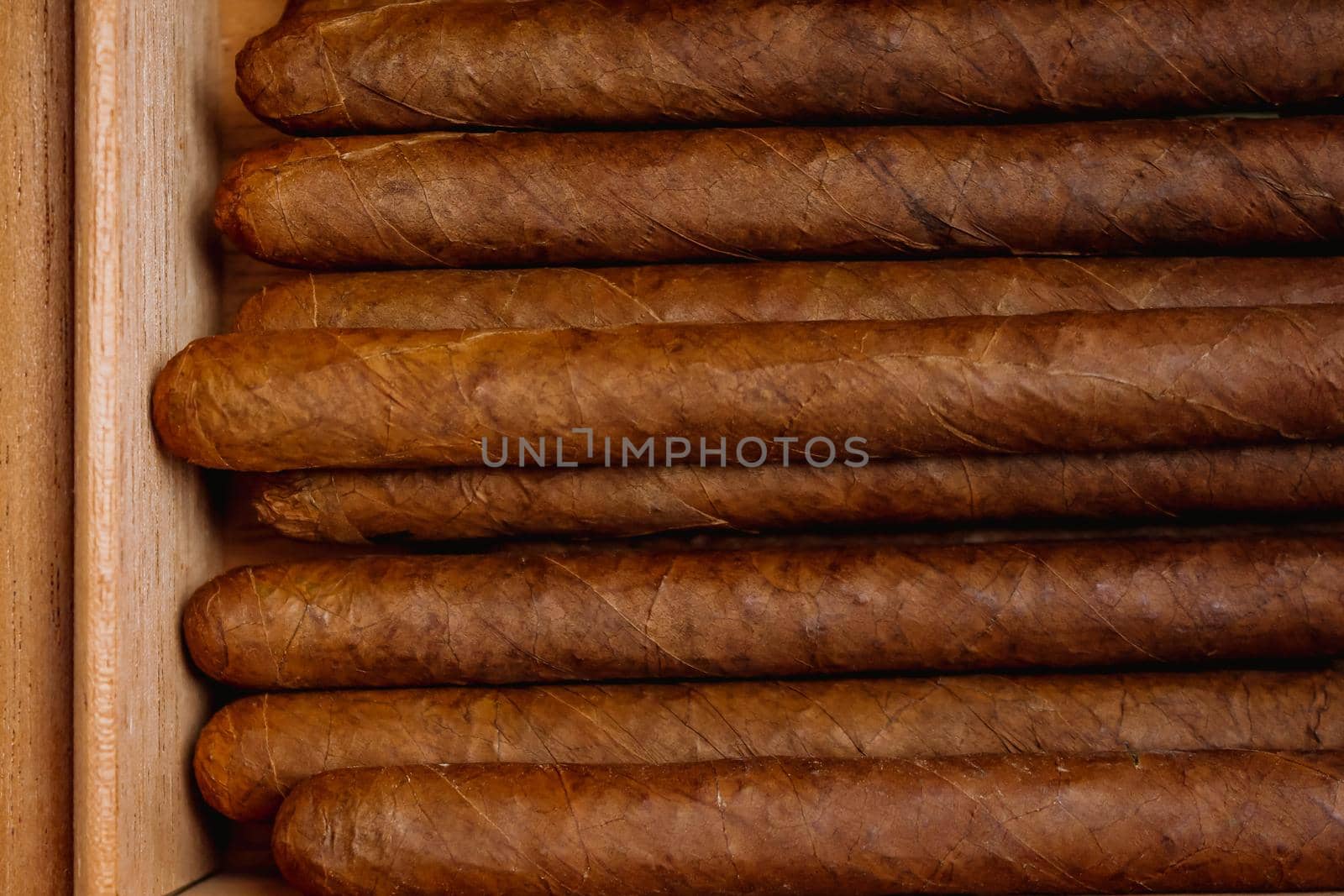 Cigars in humidor on the wooden background. Top view