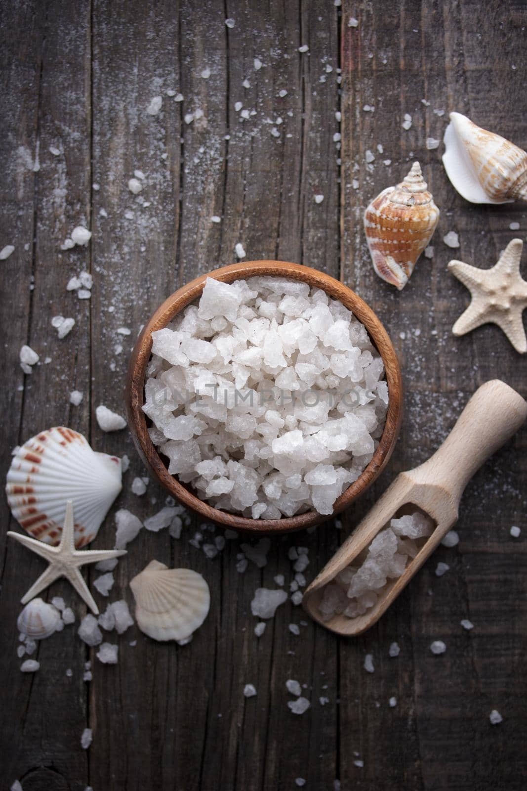 Sea salt crystals with seashells on a dark background