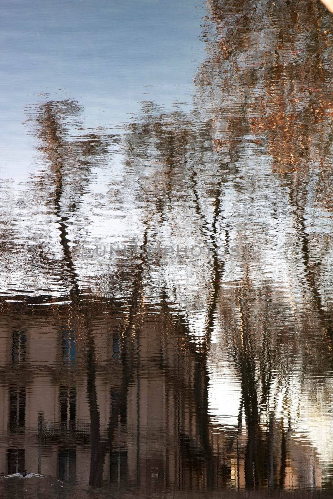 Fuzzy image of some trees and a building reflected on a river