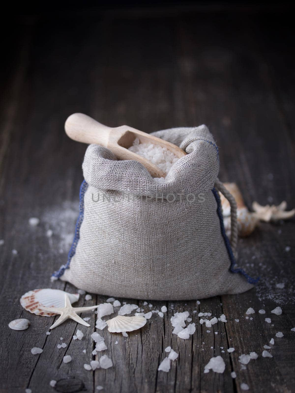 Sea salt crystals with seashells on a dark background