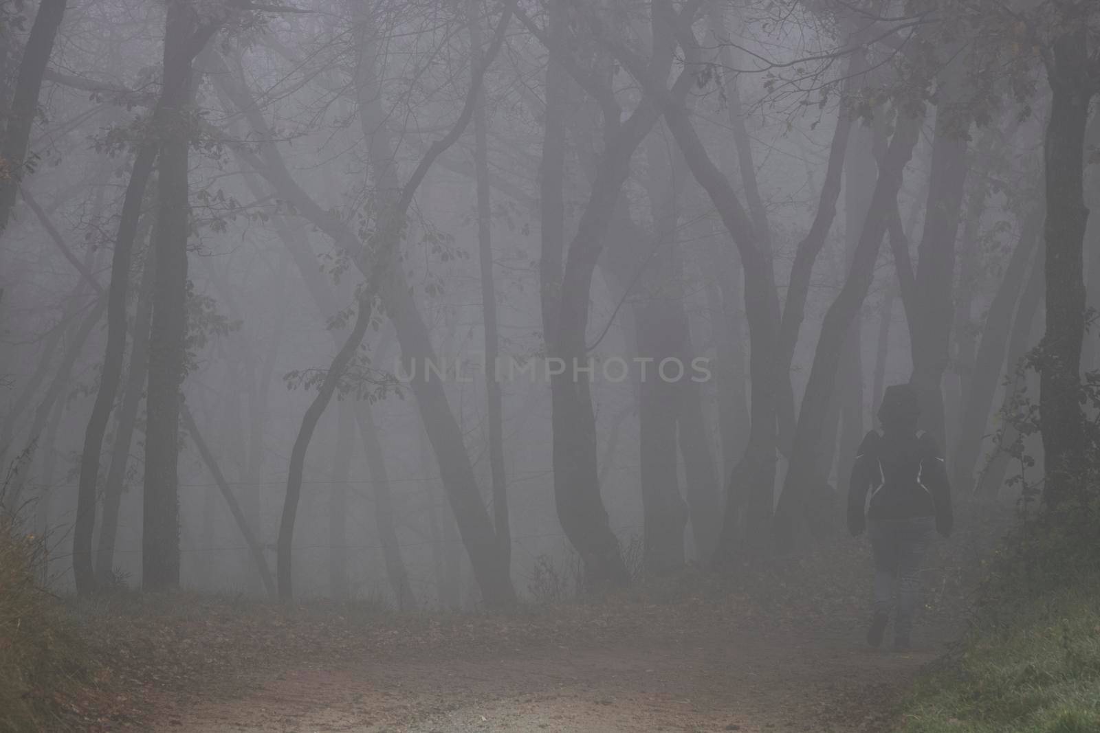 A girl walking in a foggy forest among some trees in winter