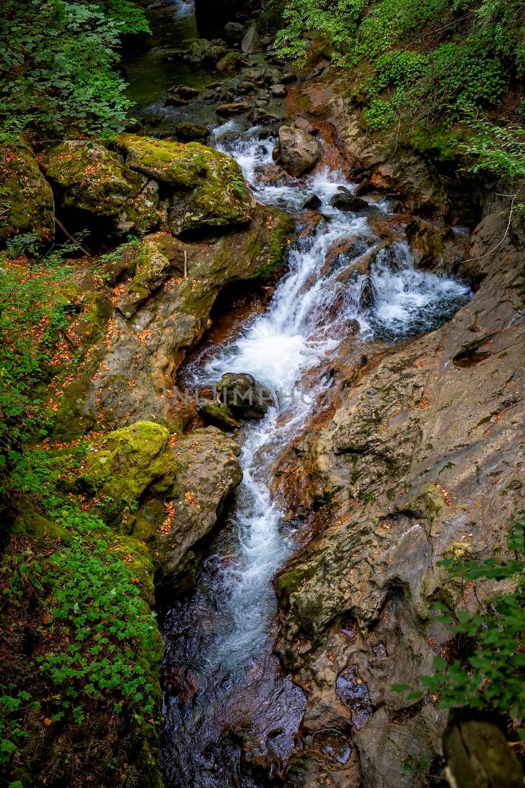 Mountain hiking paradise landscape, forest creek