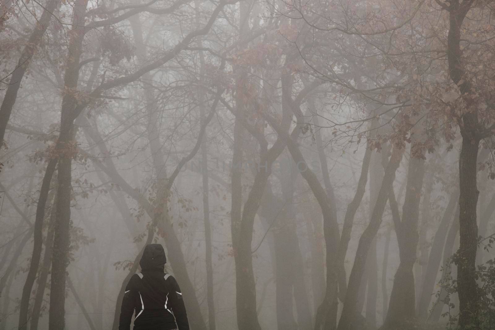 Walking in a dark forest by ValentimePix