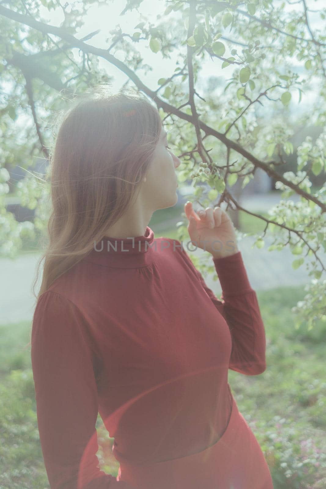 a blonde girl in red inhales the smell of cherry blossoms