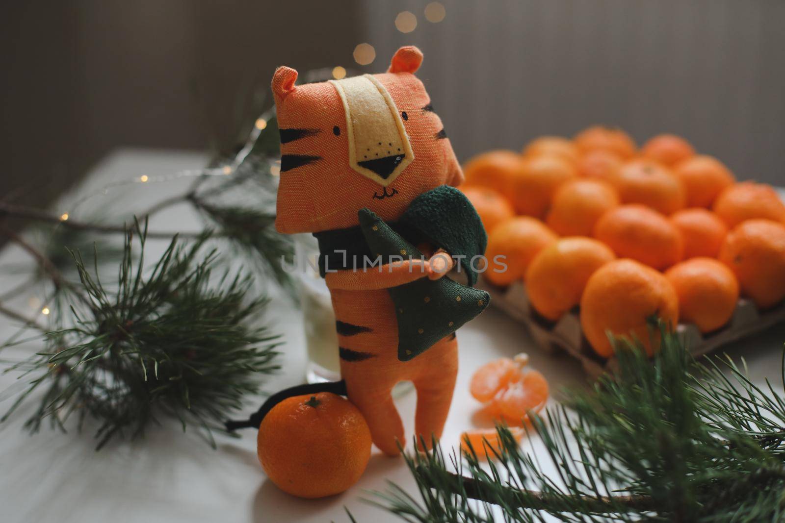 tangerines and tiger toy - symbol of 2022
