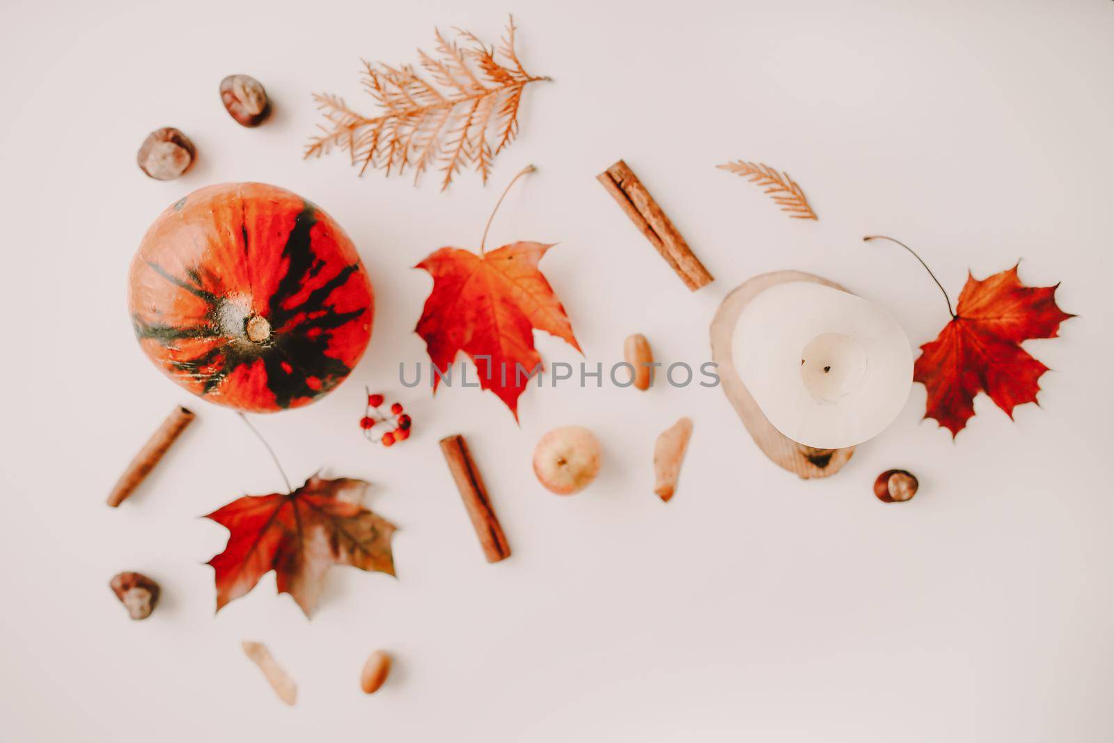 Beautiful autumn flatlay, frame of orange and red leaves. Creative autumn pattern, postcard. copy space, top view