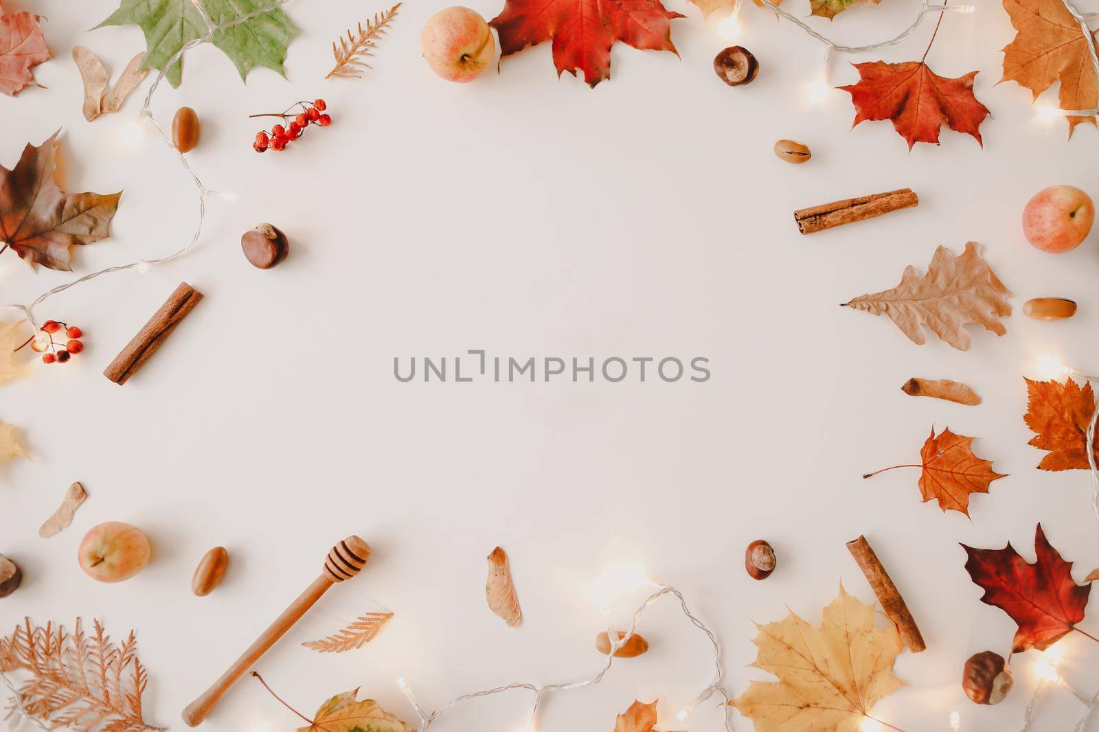 Beautiful autumn flatlay, frame of orange and red leaves. Creative autumn pattern, postcard. copy space, top view