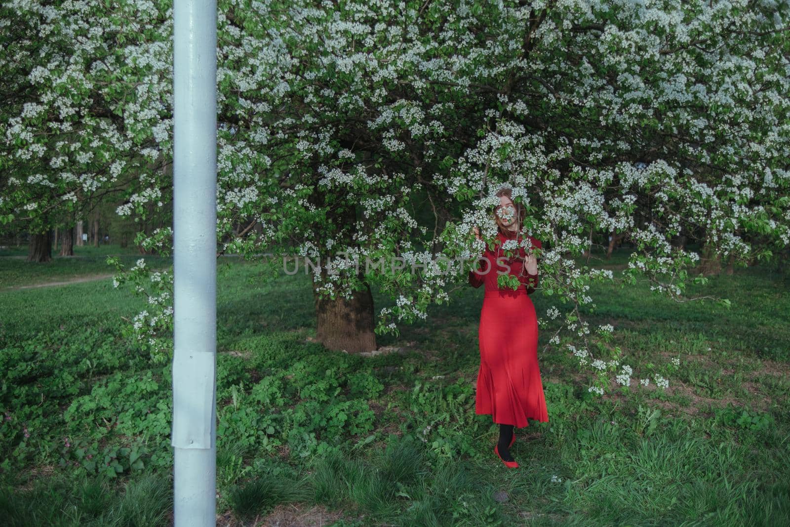 a blonde girl in red hides in flowering trees by Symonenko