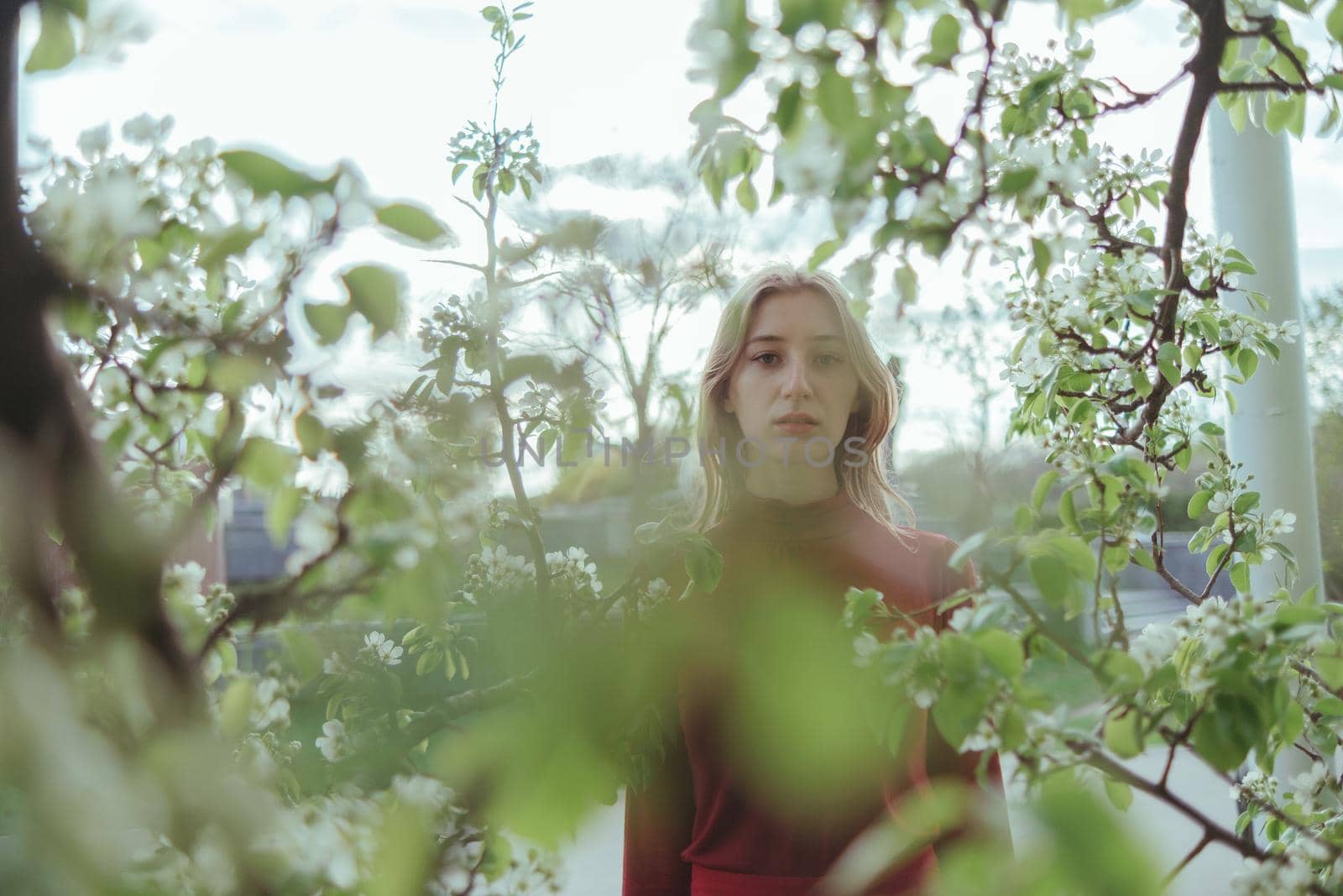 a blonde girl in red looks into the camera standing behind a flowering tree. spring, sunny by Symonenko