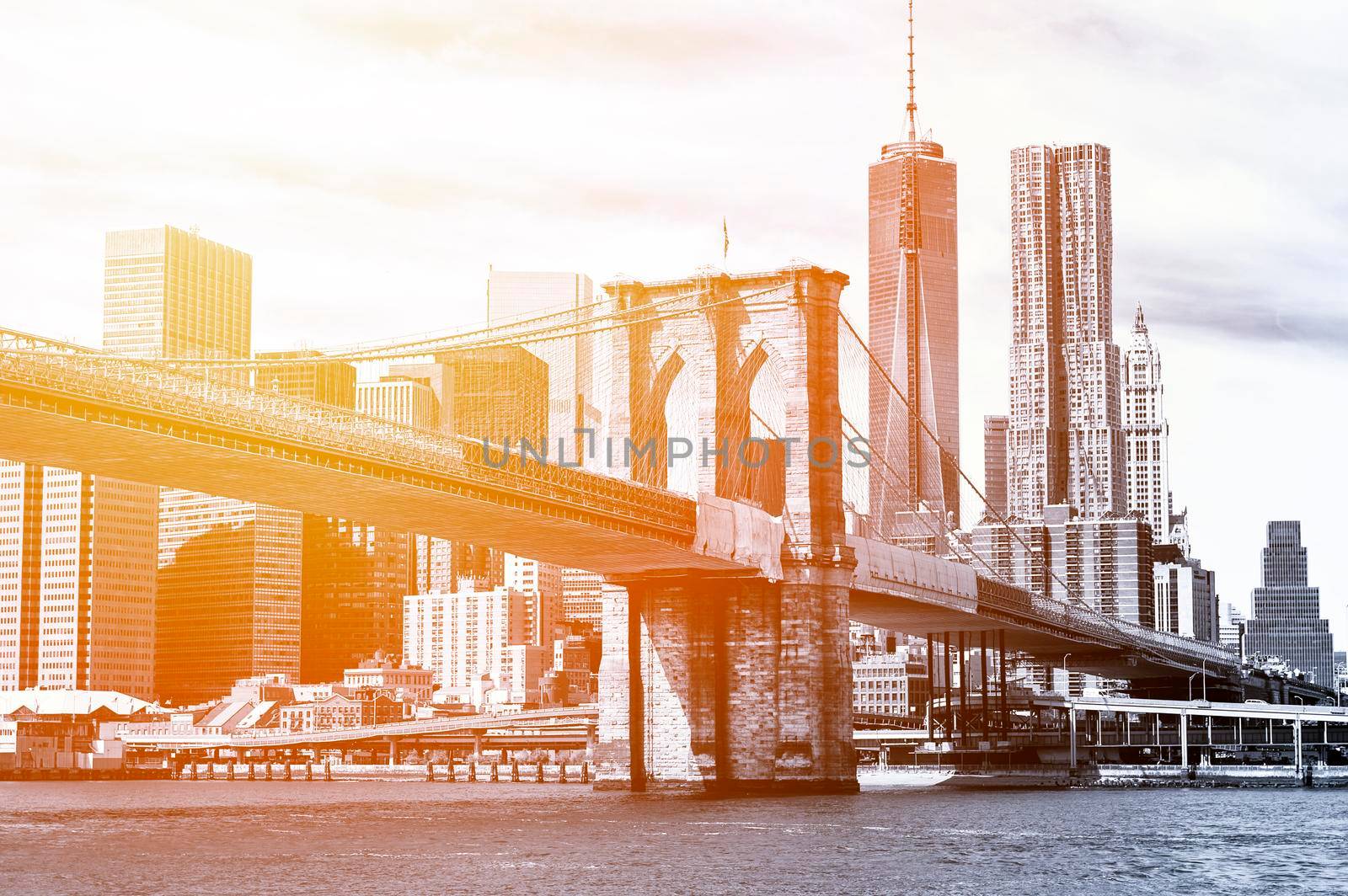 The Manhattan skyline and Brooklyn Bridge seen from Brooklyn Bridge Park in Brooklyn, New York.