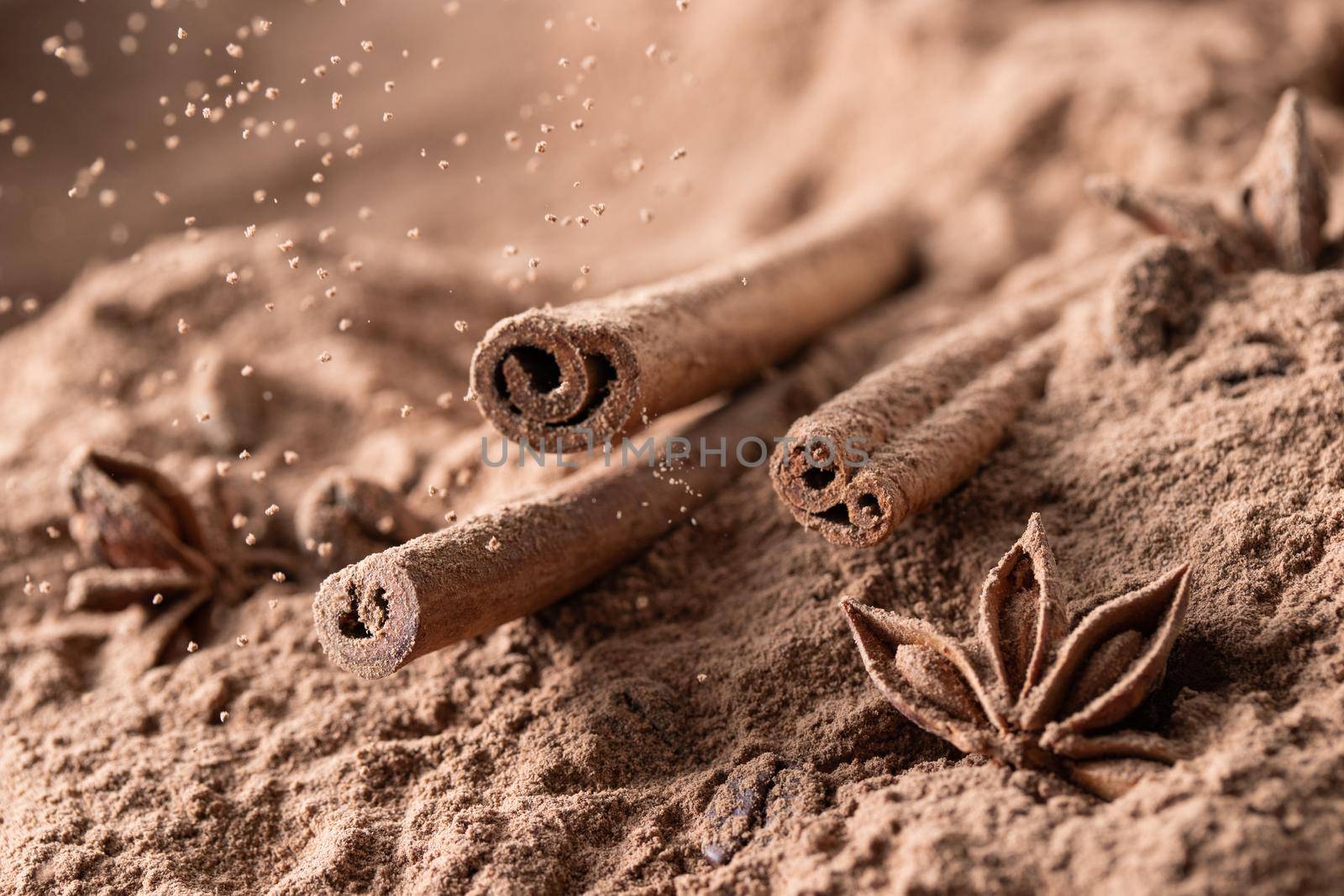 Close up of cinnamon sticks with cocoa macro