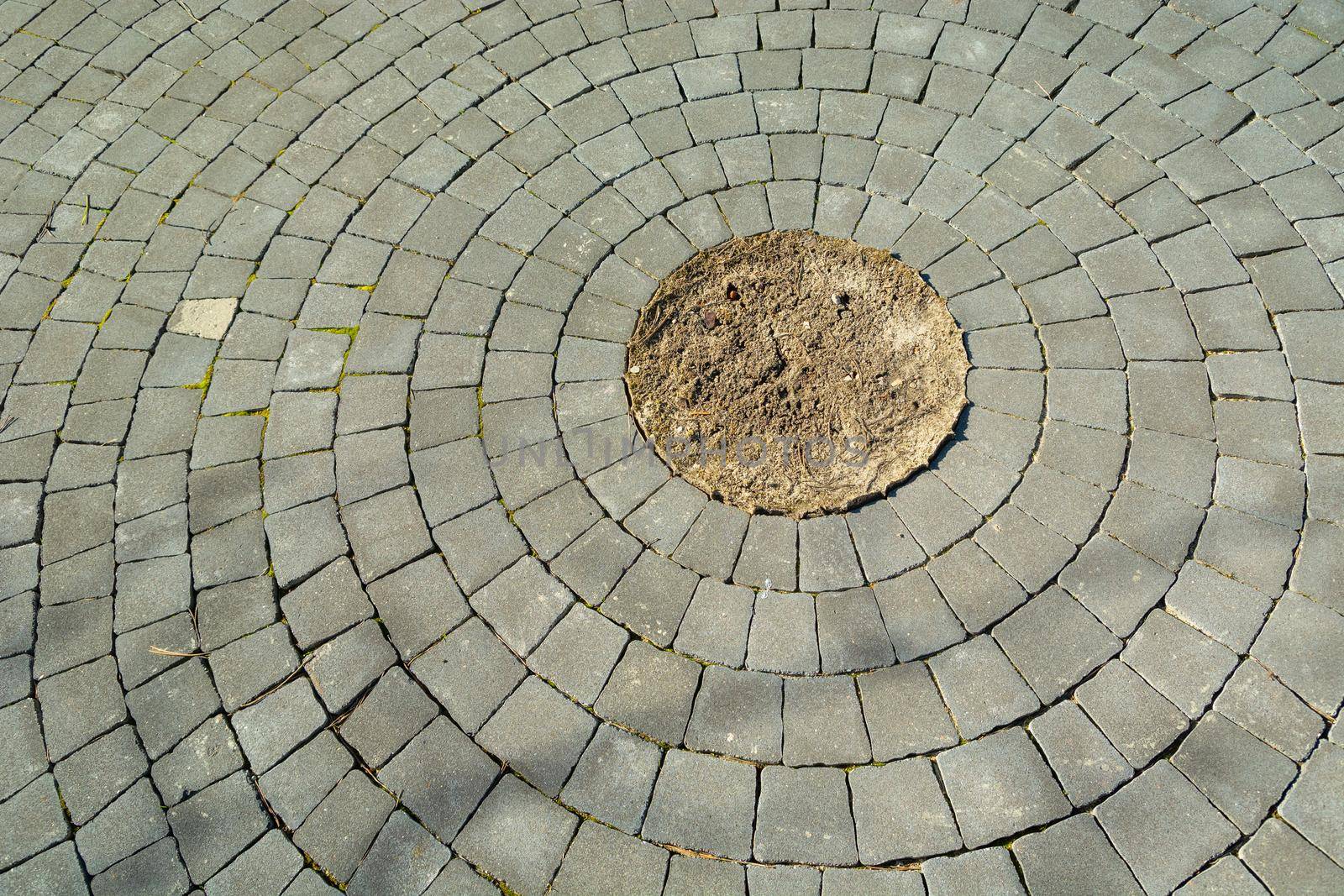 A circle of grey cobblestones with soil in the center