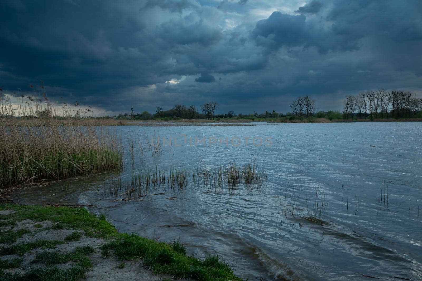 Cloudy sky over a lake with reeds, Stankow, Poland
