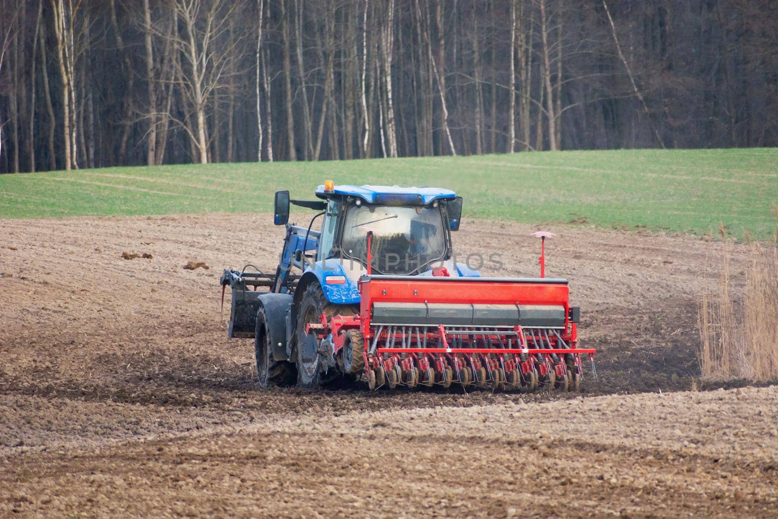 Tractor with a grain seeder in the field, spring view