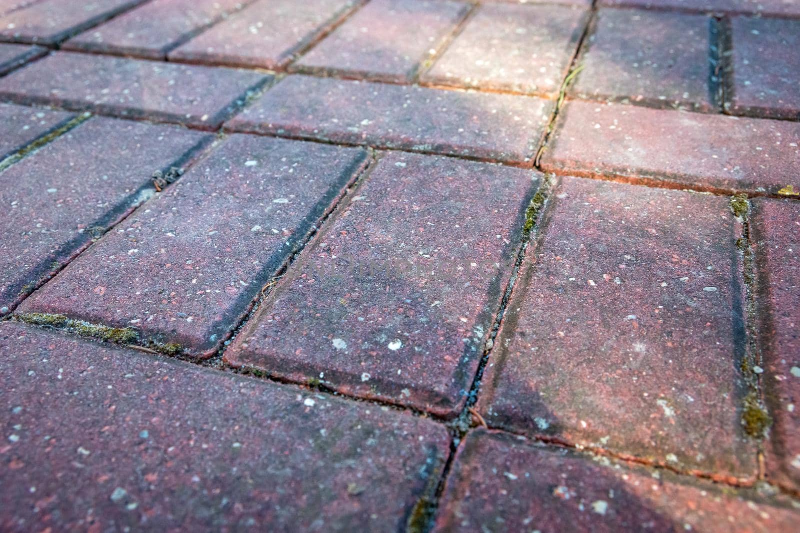 Rectangular red paving stones laid on the ground