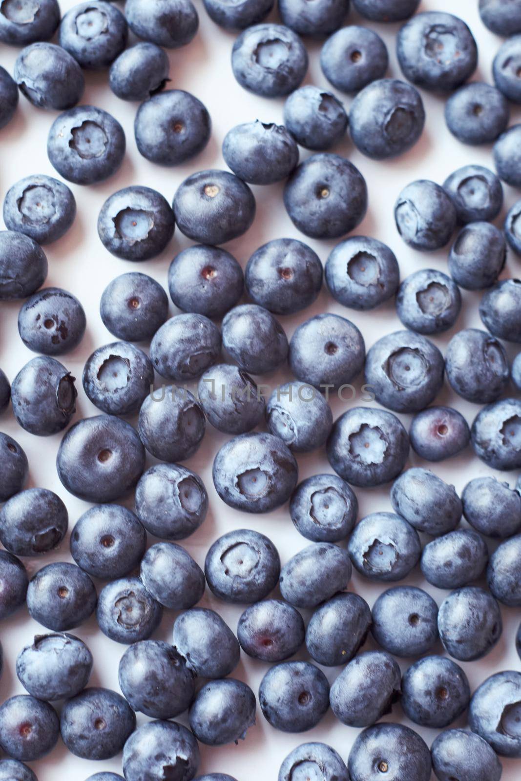 Blueberry background. Vegan and vegetarian concept. Ripe and juicy fresh hand-picked blueberries close up. Summer healthy food. Banner.