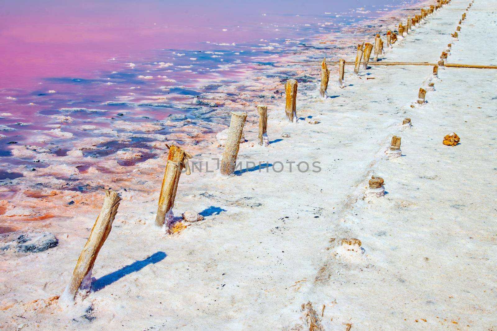 Path in salt with wood pegs