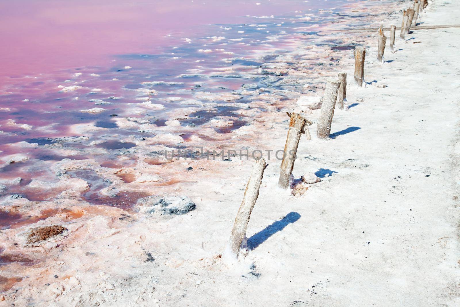 Unusual landscape of Crimean Yevpatoria pink lake by kisika