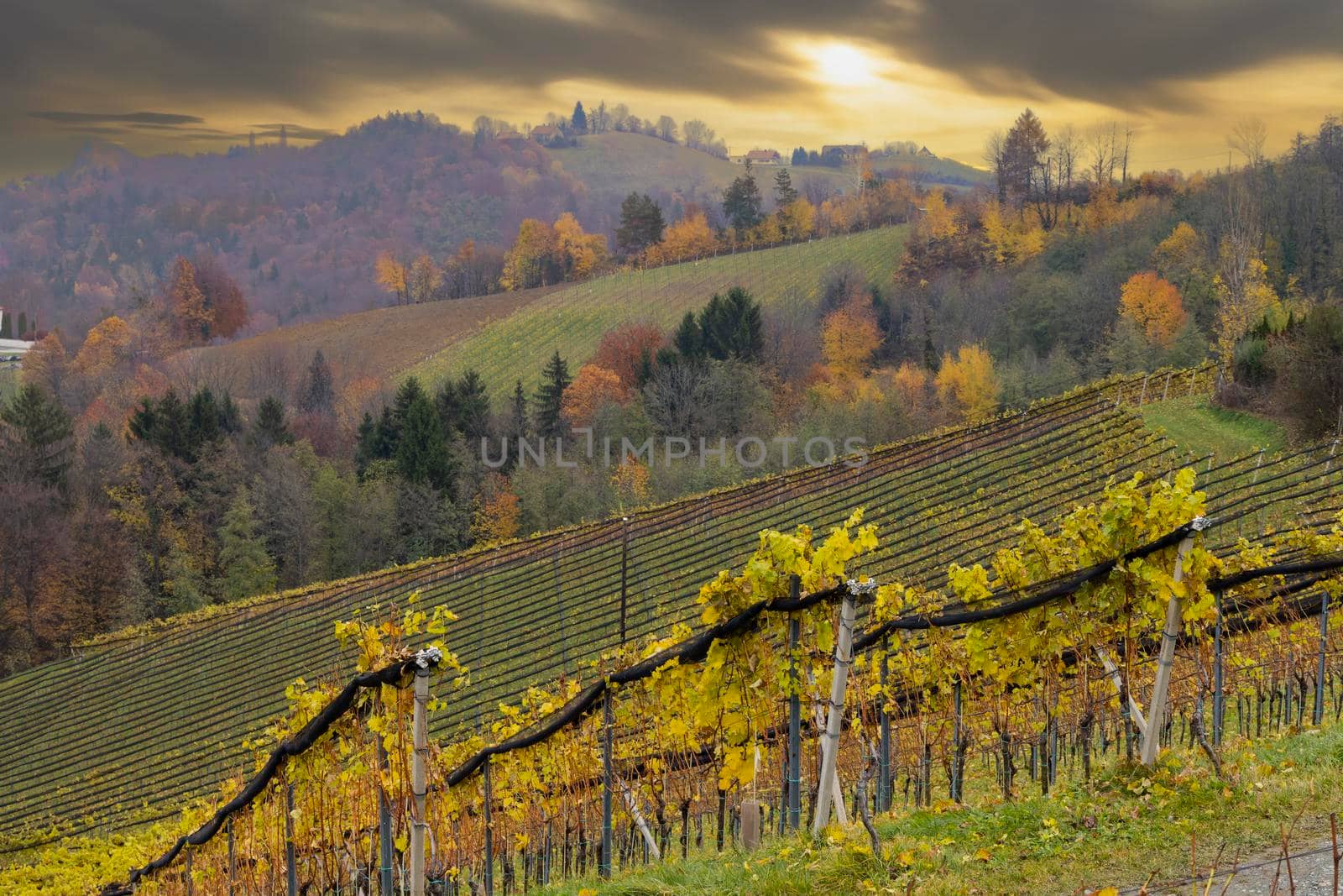 Highest vineyards in Austria near the village Kitzeck im Sausal, Styria, Austria