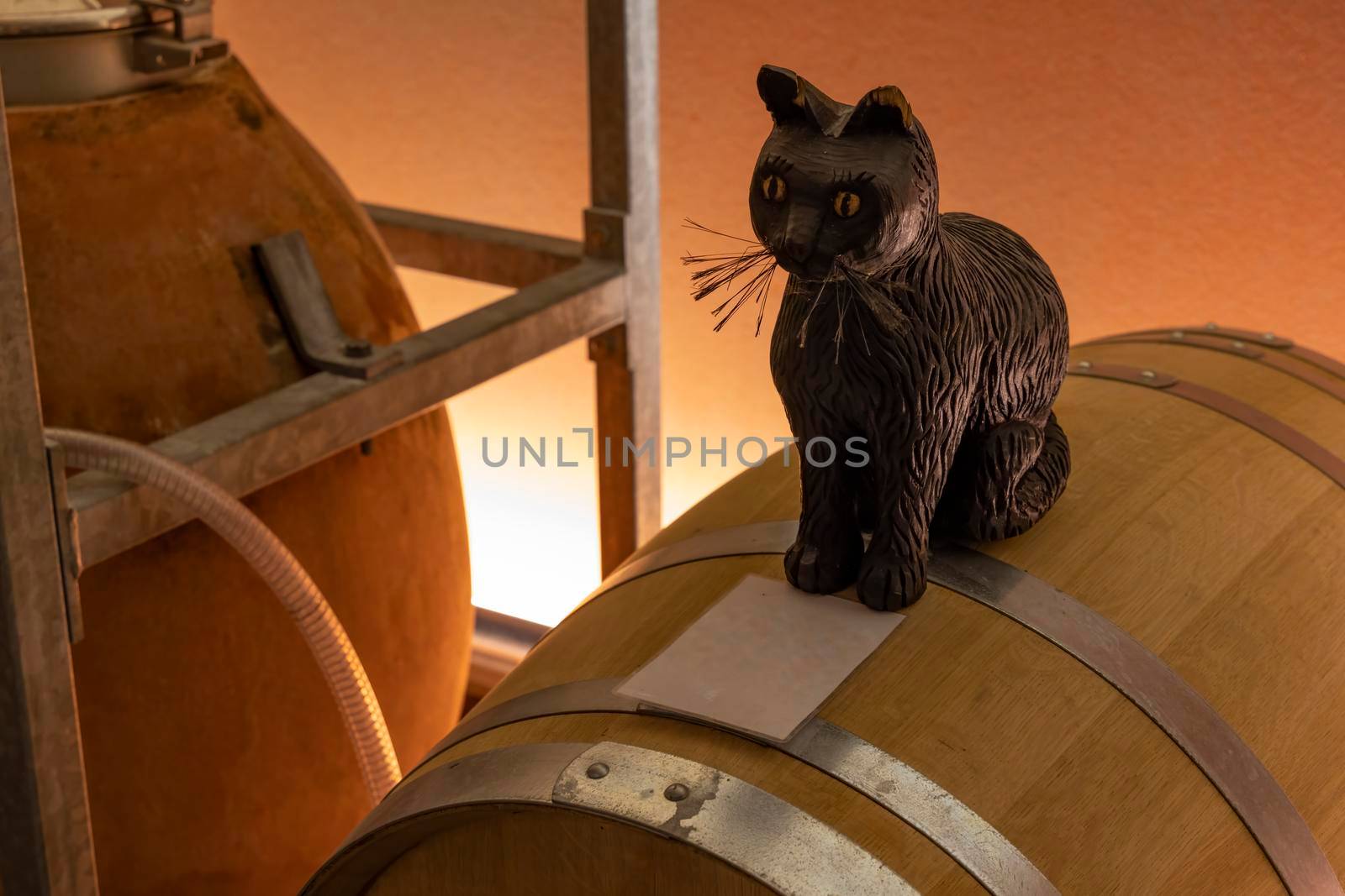 Black cat (schwarze katze) as a symbol of best wine in typical Austrian wine cellar by phbcz