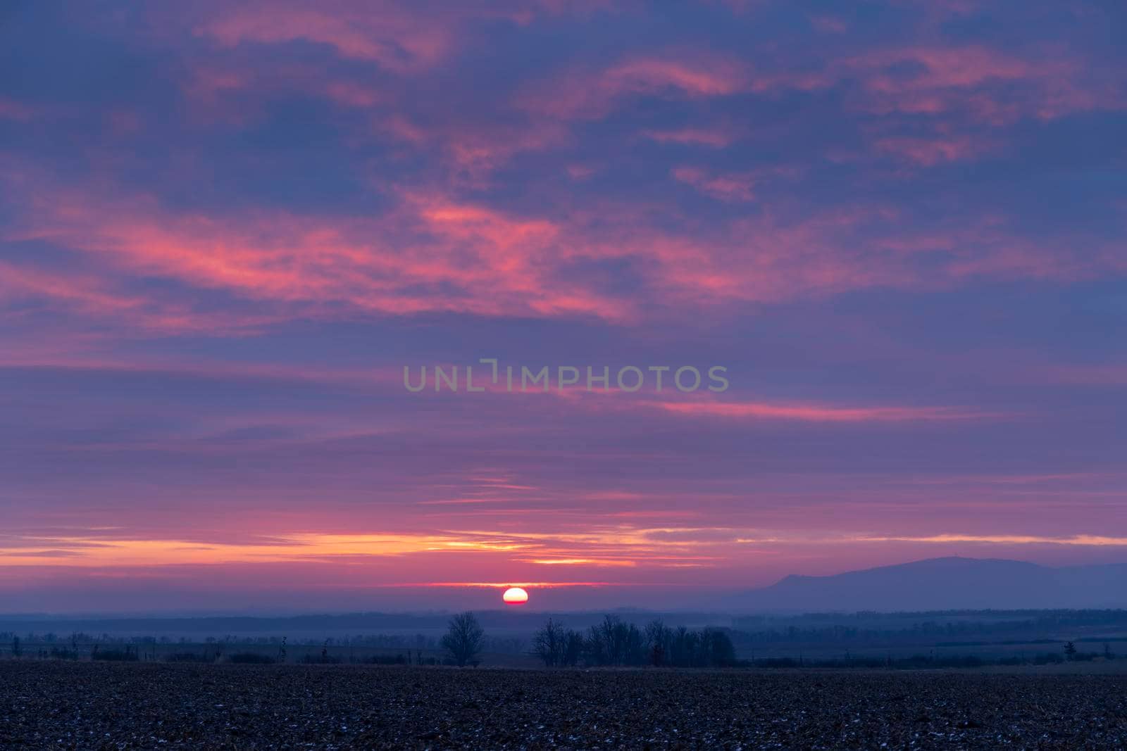 Sunrise in vineyards under Palava, Southern Moravia, Czech Republic by phbcz