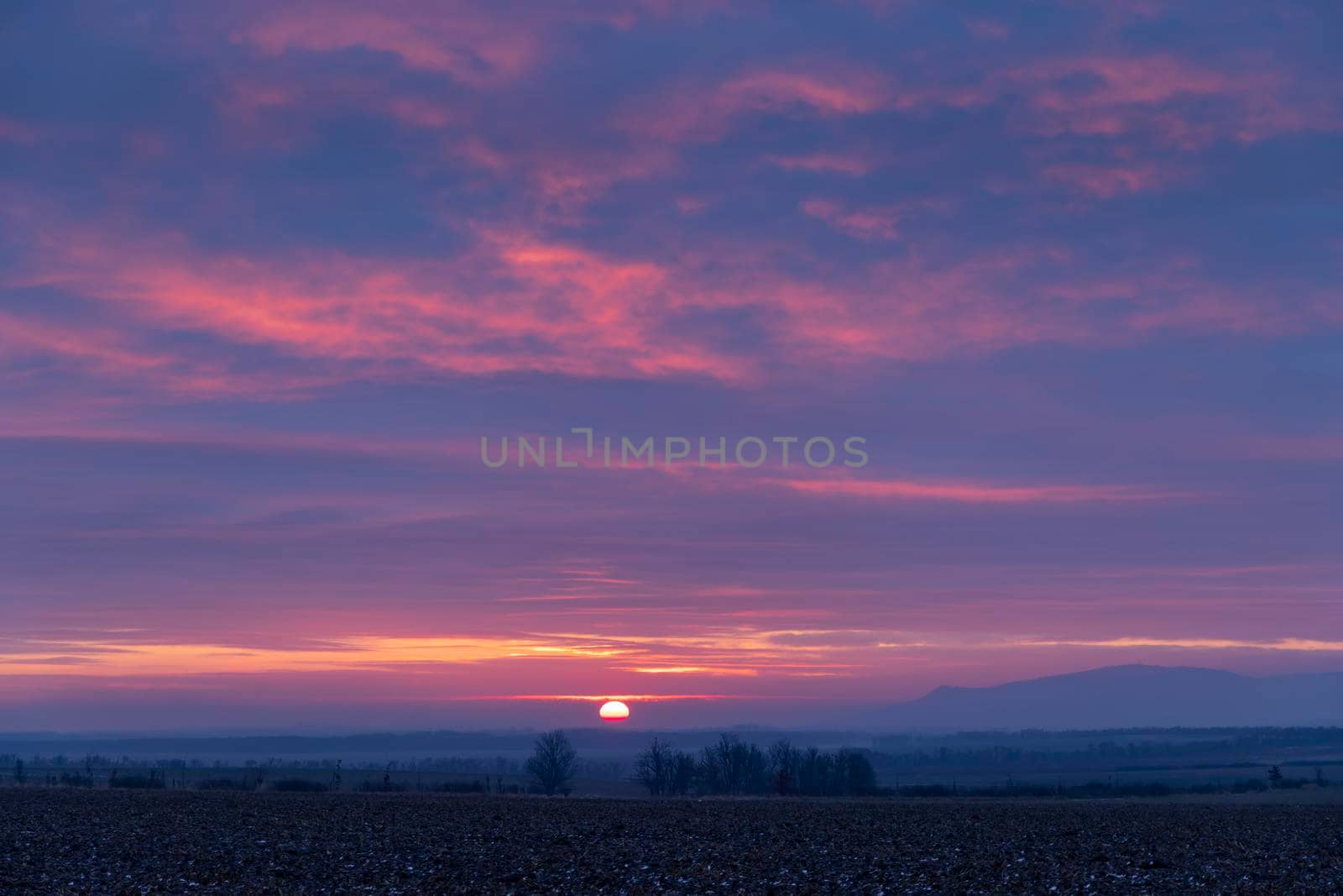 Sunrise in vineyards under Palava, Southern Moravia, Czech Republic