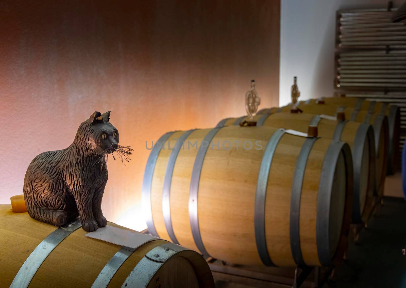Black cat (schwarze katze) as a symbol of best wine in typical Austrian wine cellar by phbcz