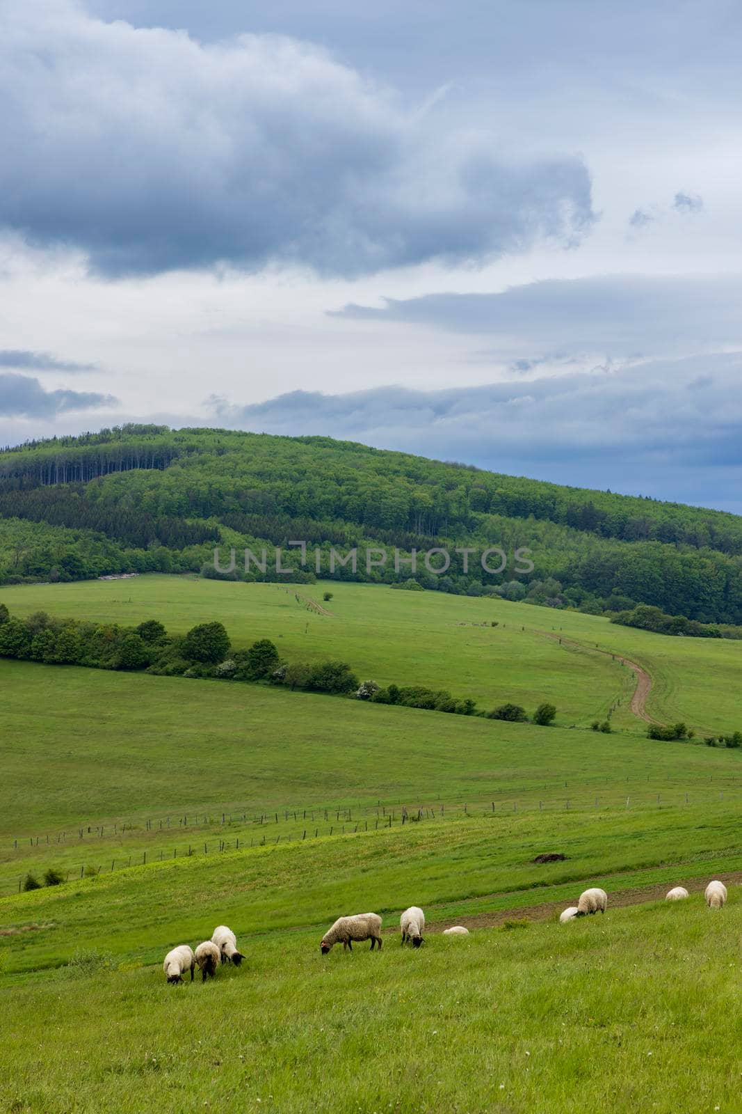 Spring landscape in White Carpathians, Czech Republic by phbcz