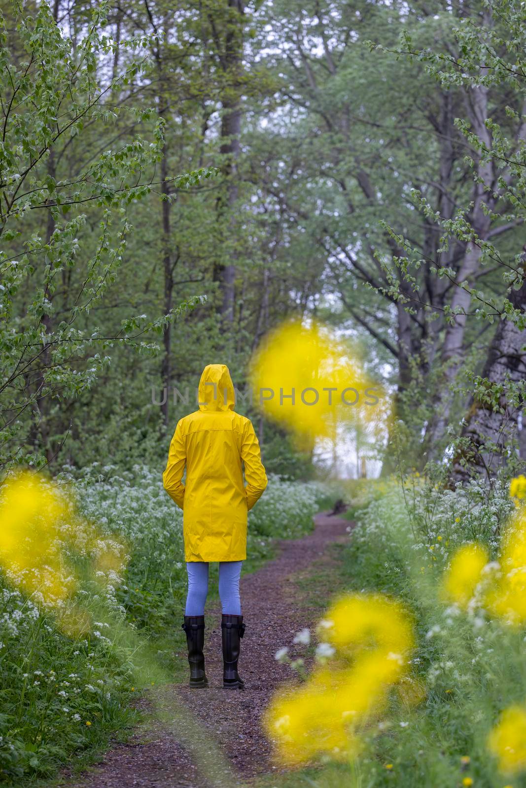 Young woman with yellow raincoat and rubber boots in spring nature by phbcz