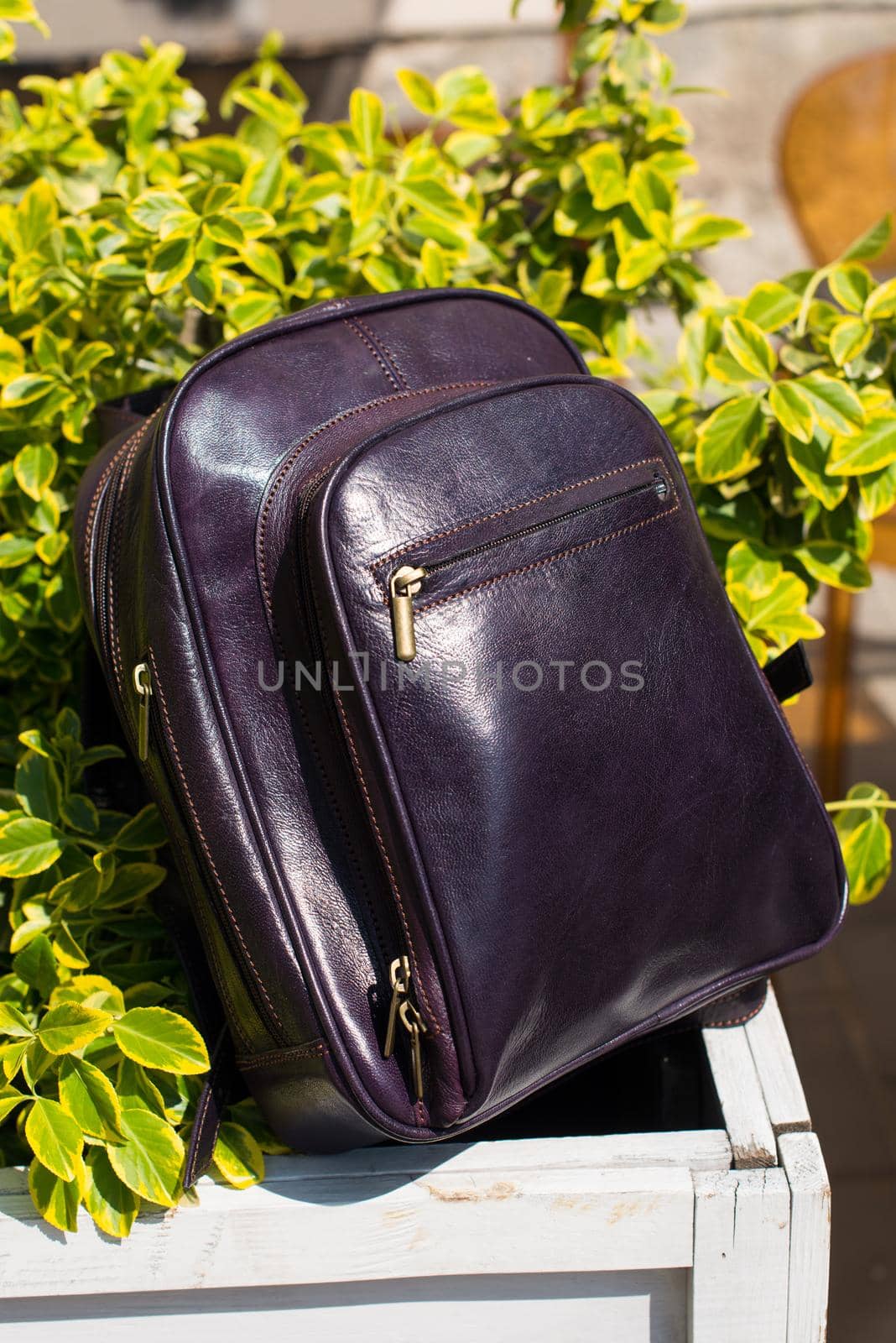 burgundy leather backpack. Green bush on a background