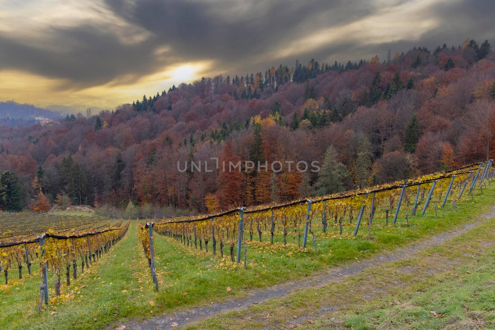 Highest vineyards in Austria near the village Kitzeck im Sausal, Styria, Austria