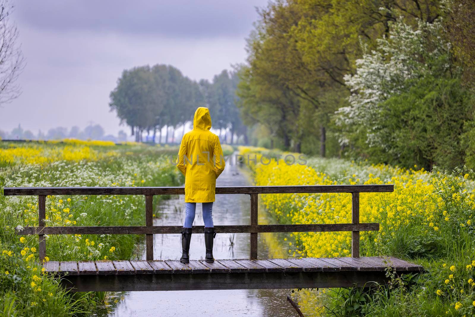 Young woman with yellow raincoat and rubber boots in spring nature by phbcz