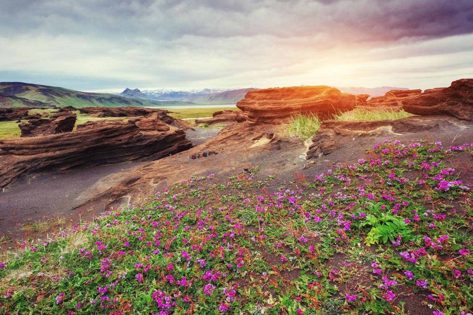 volcanic rocks in Iceland. Sunset. Beauty world