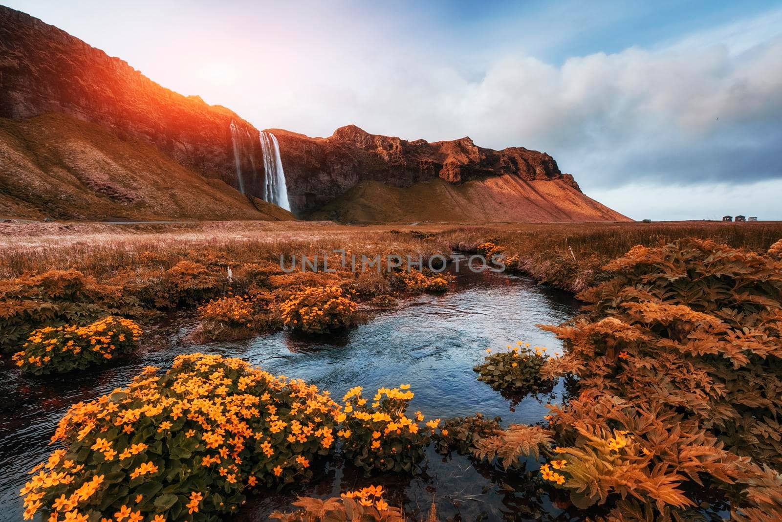 Seljalandfoss waterfall. Beautiful summer sunny day Iceland Europe
