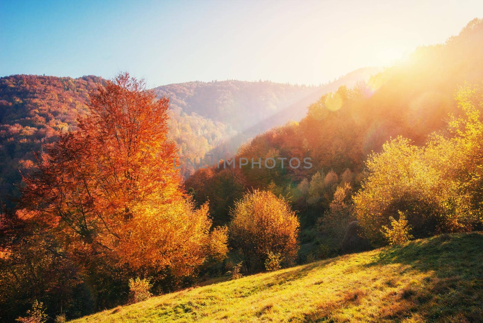 mountain range in the Carpathian Mountains in the autumn season. Fantastic sunset. Ukraine Europe