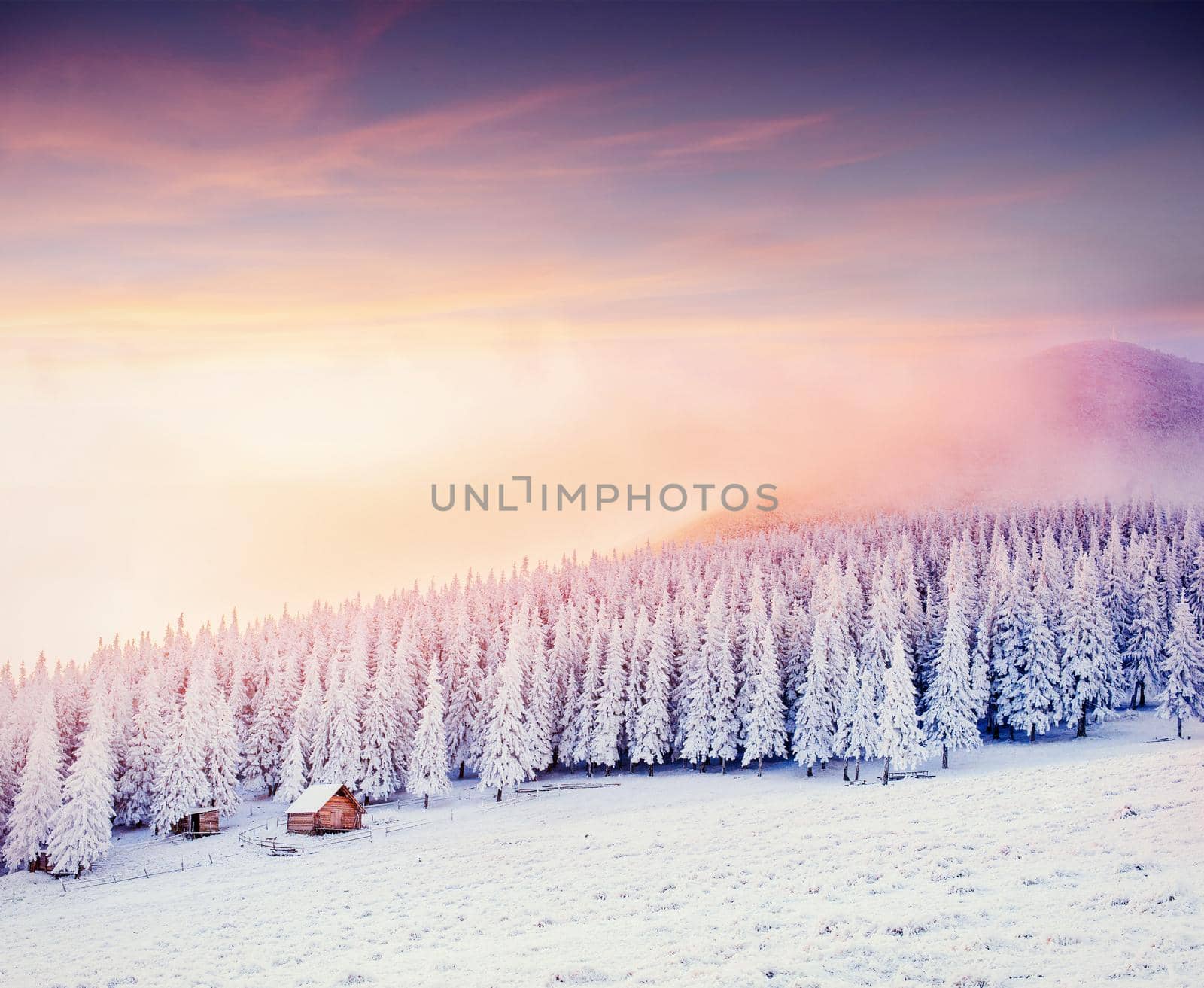 Mysterious winter landscape majestic mountains in winter. Magical winter snow covered tree. Europe