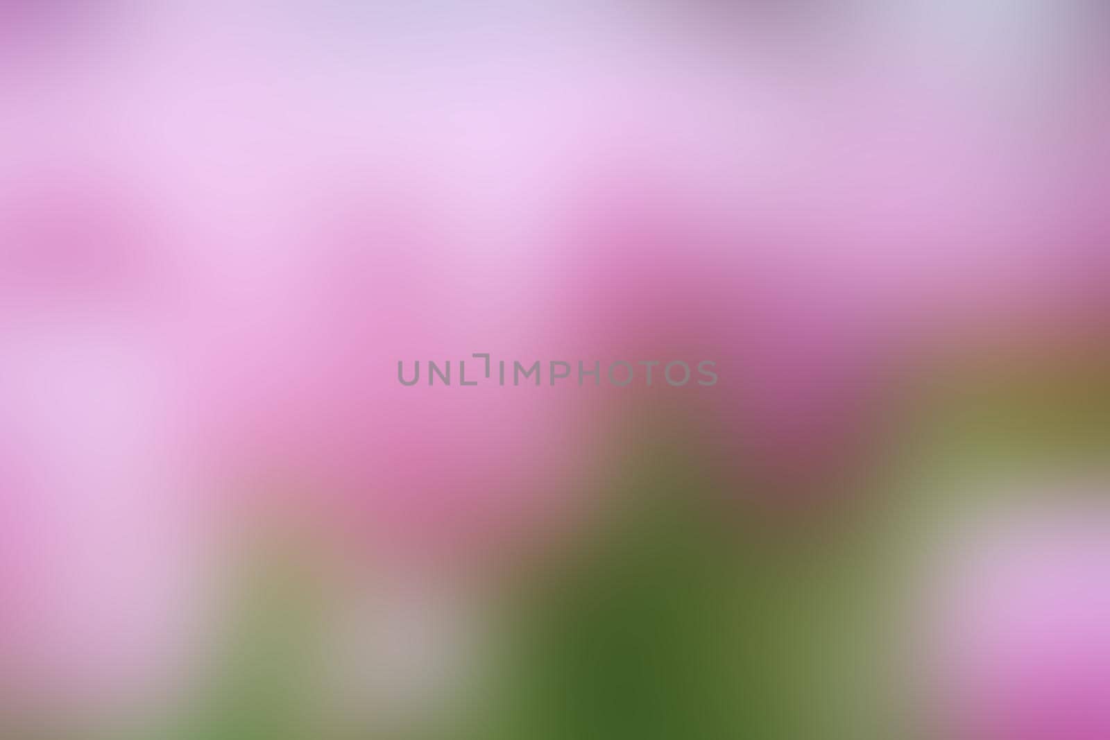 abstract pink blur background by geargodz