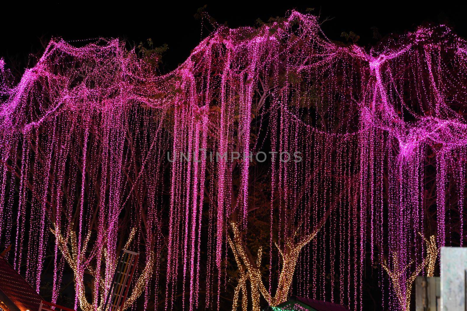 LED lighting decoration on a tree (celebrating event)