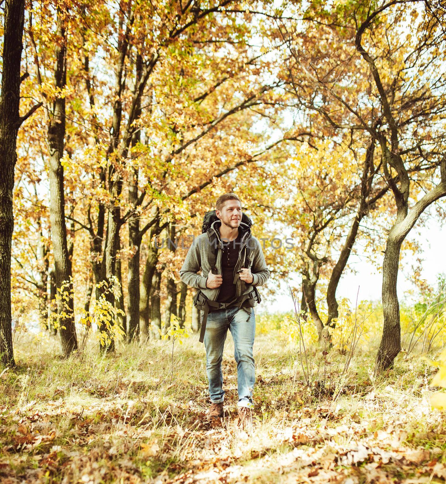 Traveler backpacker walking in autumn forest, young caucasian man in gray jacket goes along the trail admiring beauty of nature on sunny day. Hiking concept by LipikStockMedia