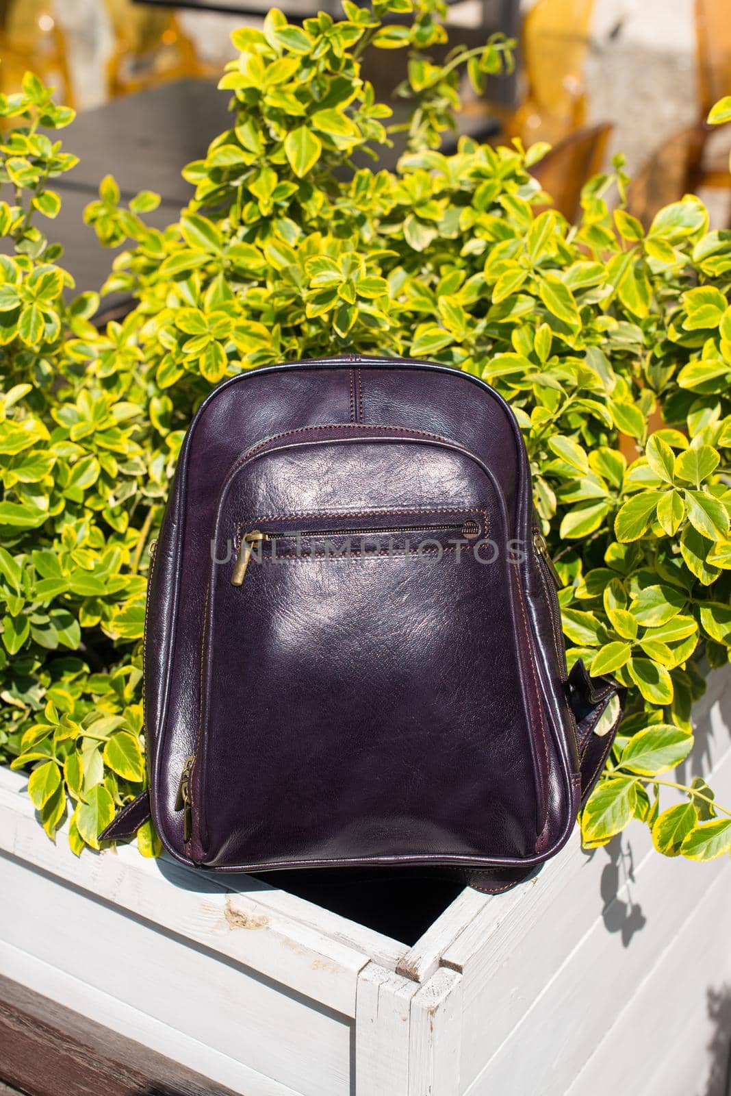 burgundy leather backpack. Green bush on a background