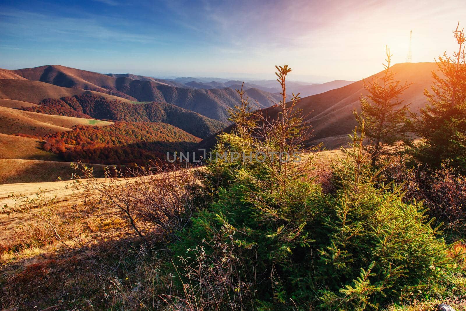mountain range in the Carpathian Mountains in the autumn season. Fantastic sunset. Ukraine, Europe.