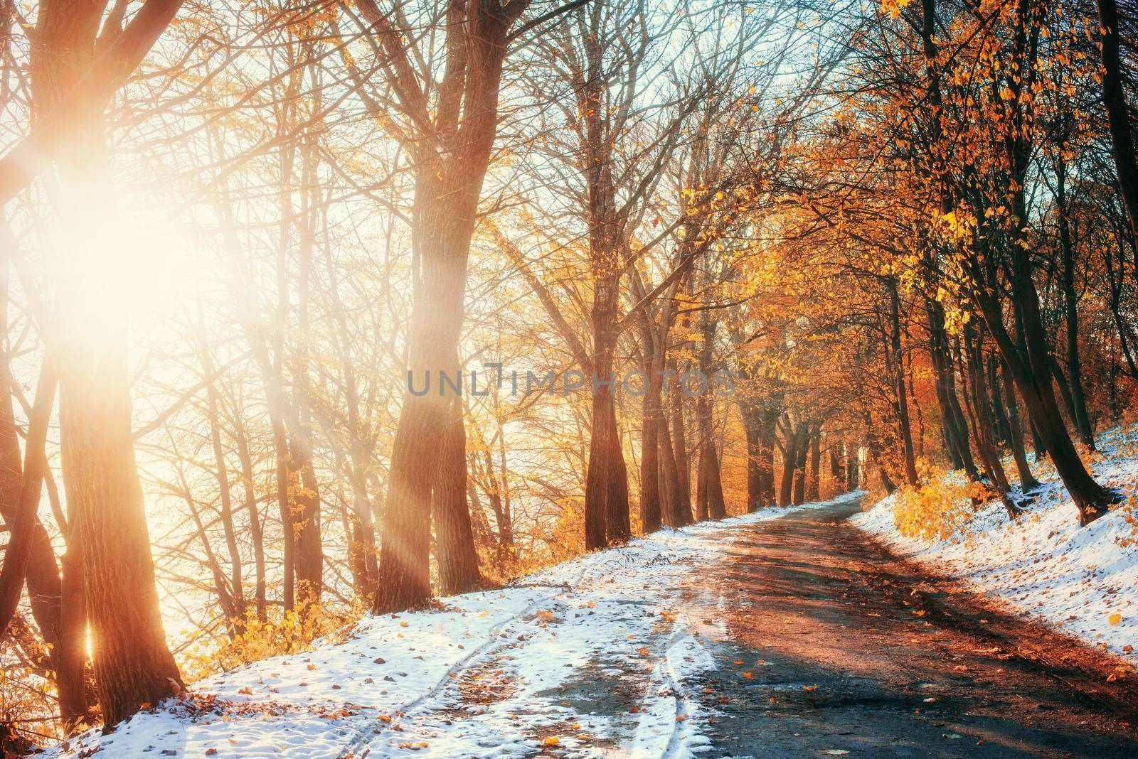 First snow in the forest. Beauty world Road
