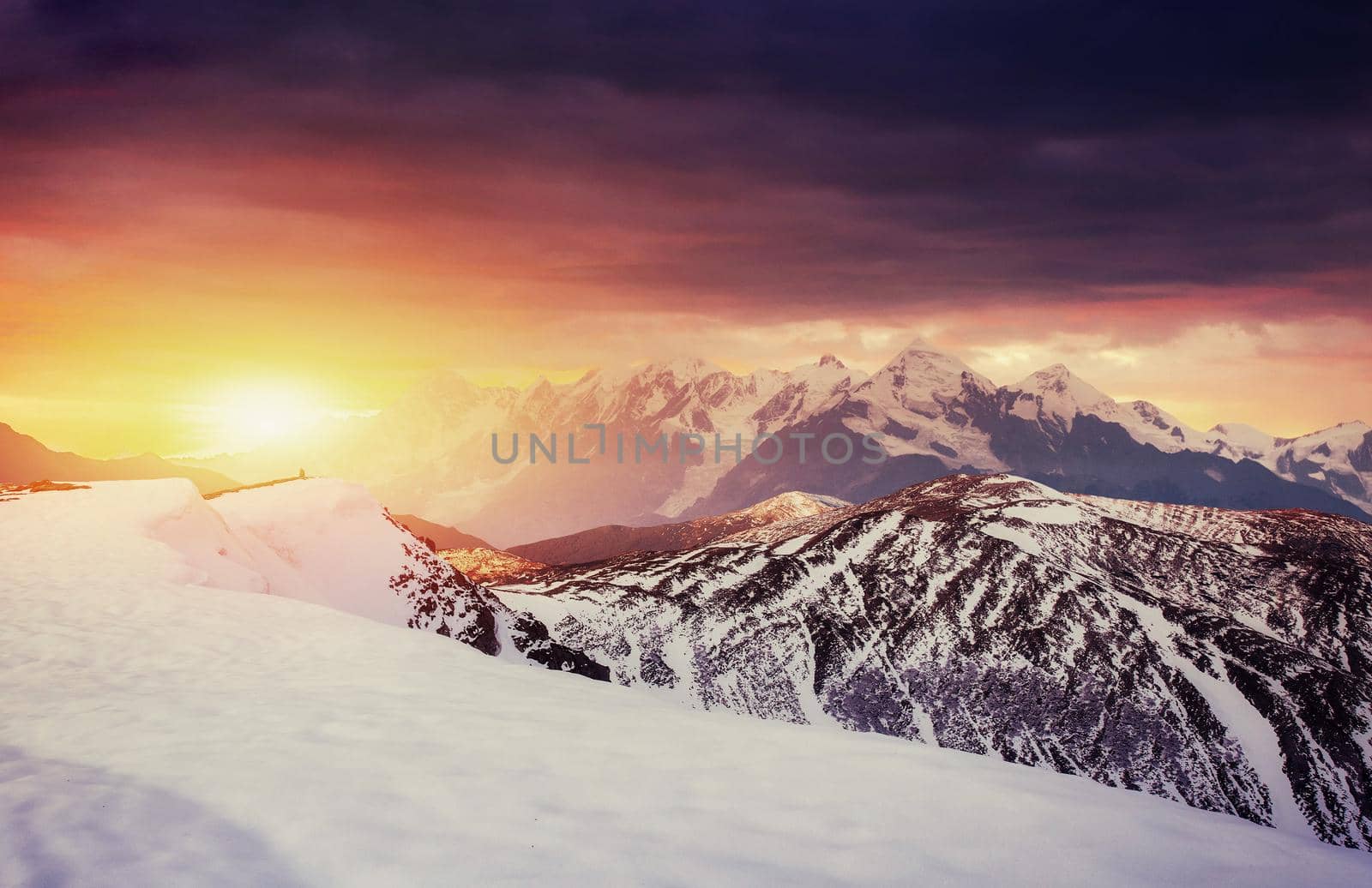 magical winter snow covered tree. Sunset in the Carpathians. Ukraine, Europe