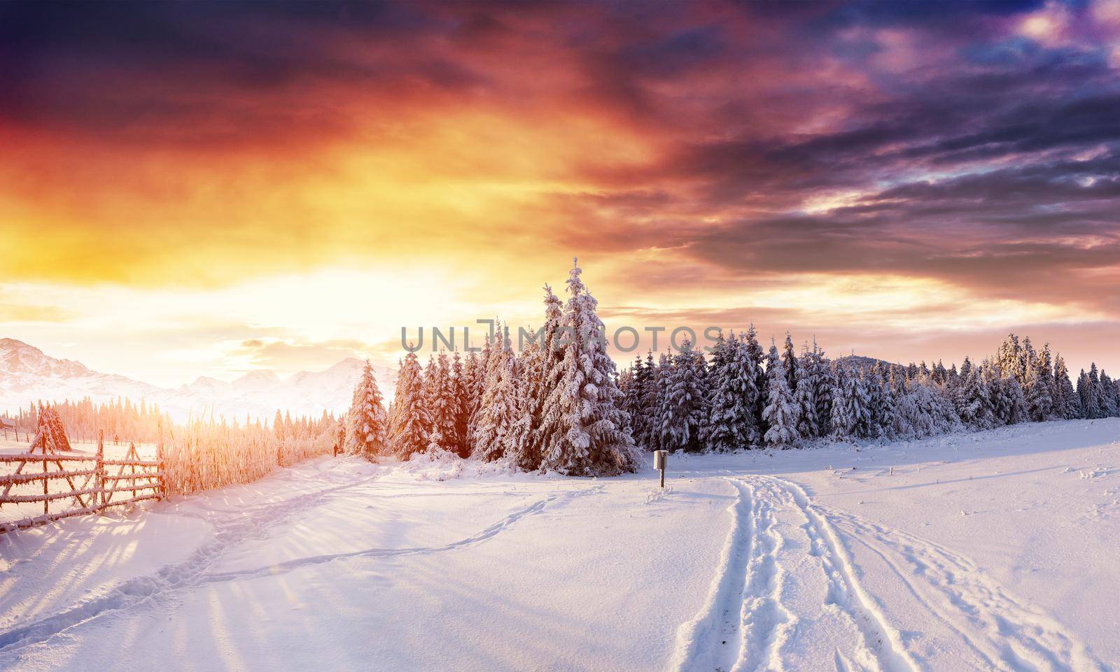 the winter road. Dramatic scene. Carpathian Ukraine Europe
