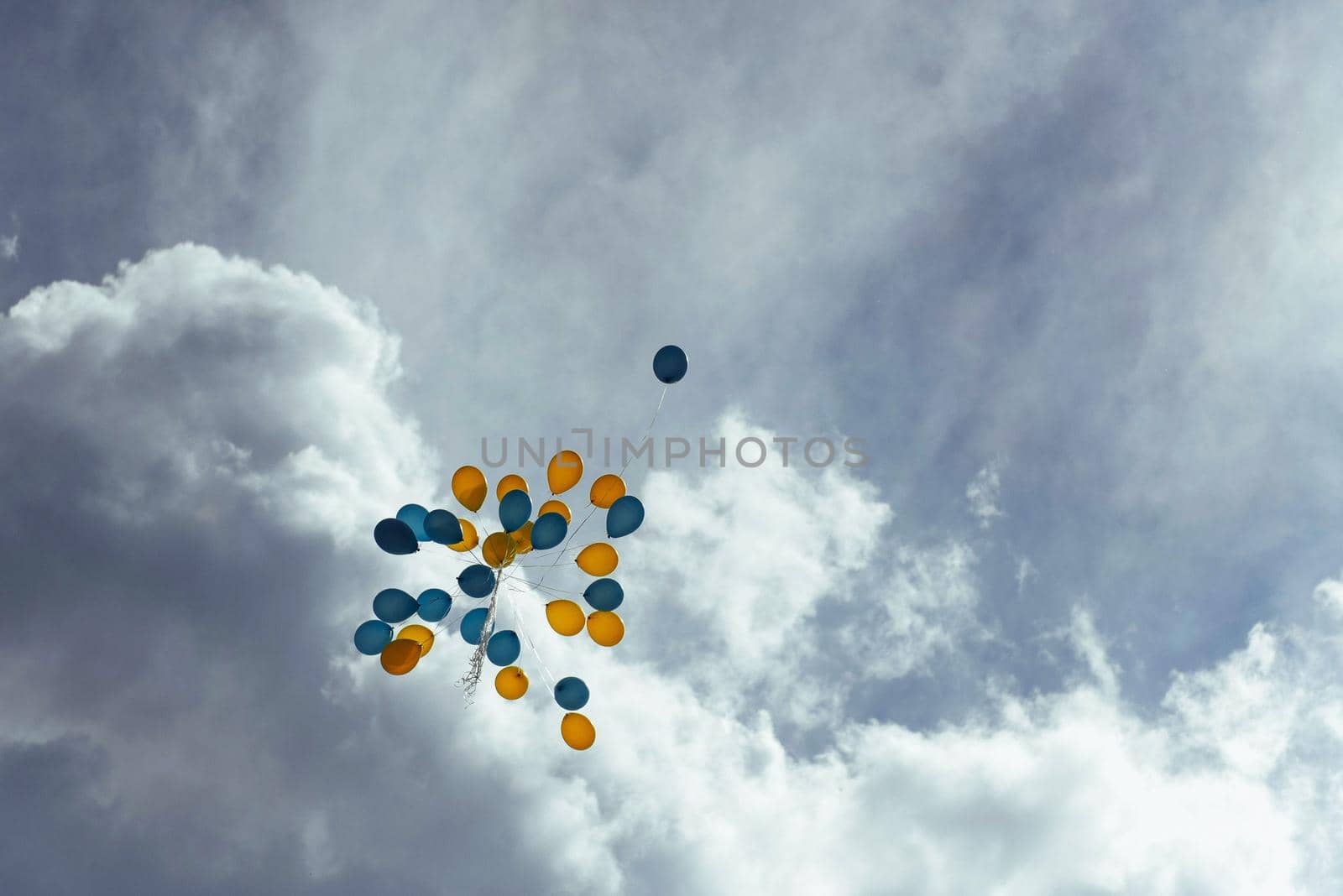 bouquet of blue and yellow balloons in the sky.