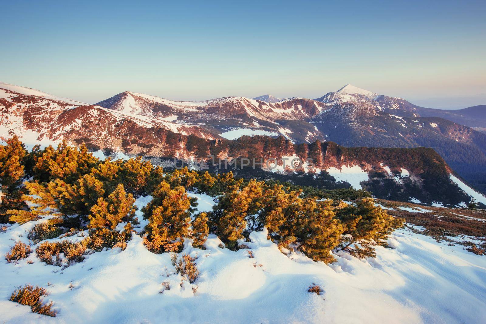 Colorful spring landscape of mountain ranges in the Carpathians national park. Ukraine, Europe.