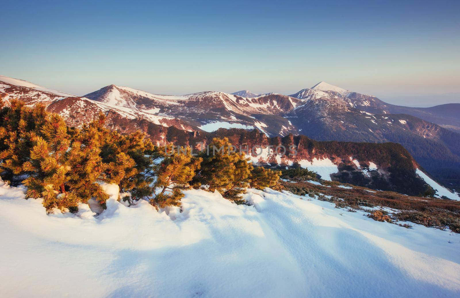 Colorful spring landscape of mountain ranges in the Carpathians national park. Ukraine, Europe.