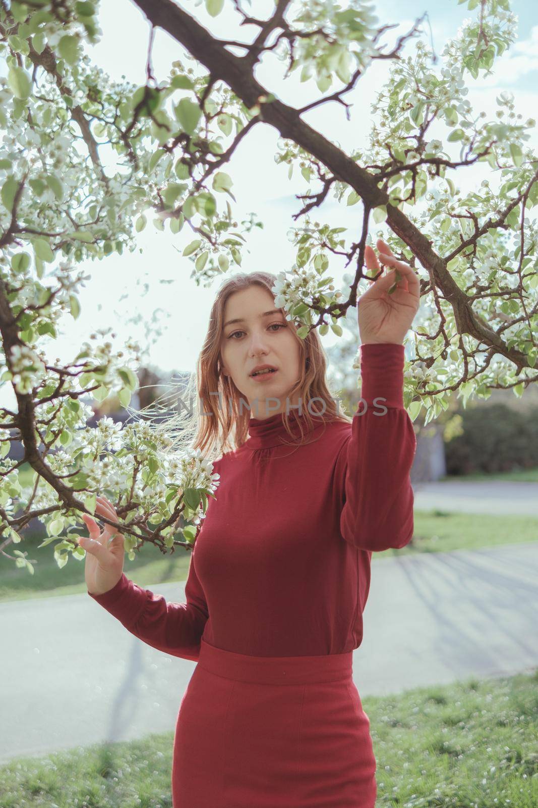 a girl in red admiring the cherry blossoms in the garden. sunny spring day