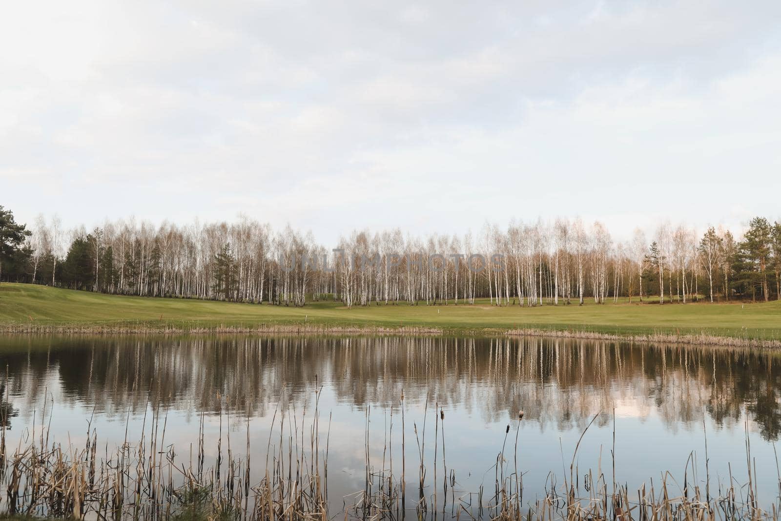 Beautiful colorful summer or spring natural landscape with a lake surrounded by green field and trees in sunlight. Real photo