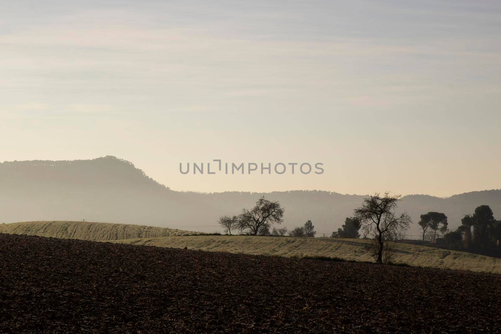 Some fields, trees and mountains in a landscape in the countryside